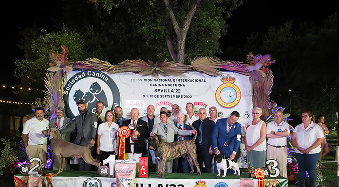 Casi 600 perros llegan a la ciudad para una cita única exposiciones caninas Dos Hermanas 2026