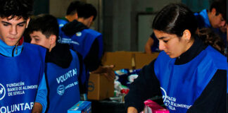 La Gran Recogida 2026 busca voluntarios en Dos Hermanas Gran Recogida de Alimentos 2026