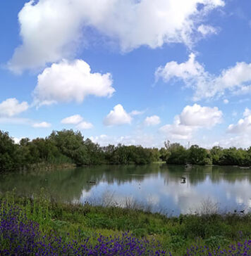 La Laguna de Fuente del Rey será escenario de ‘Objetivo’ jornada de fotografía en Dos Hermanas